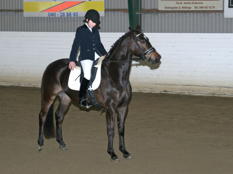 20080406_123818 Sabina Hansen Diezel